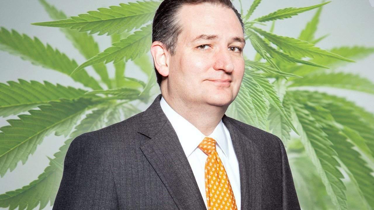 Politicians Who Smoke Weed And Aren't Afraid To Say It