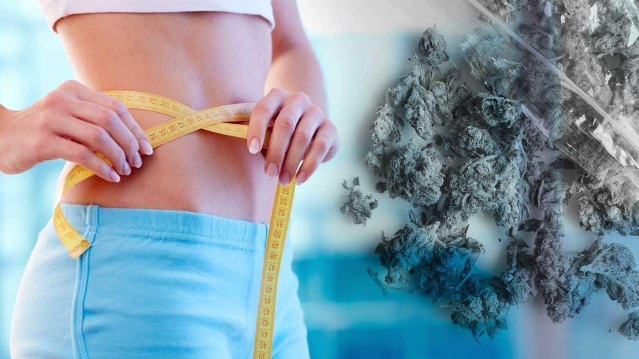 Surprising Ways Weed Helps With Weight Loss