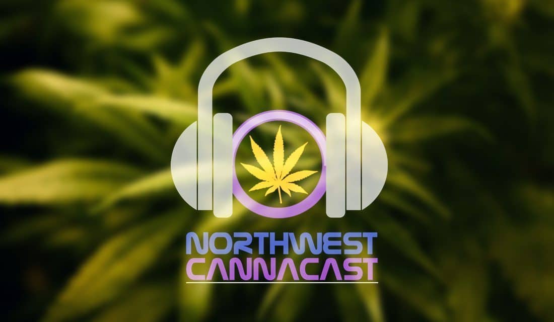 The 10 Best Cannabis Podcasts Making An Impact On Cannabis Culture