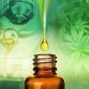 The 8 Most Important CBD Studies Ever Published