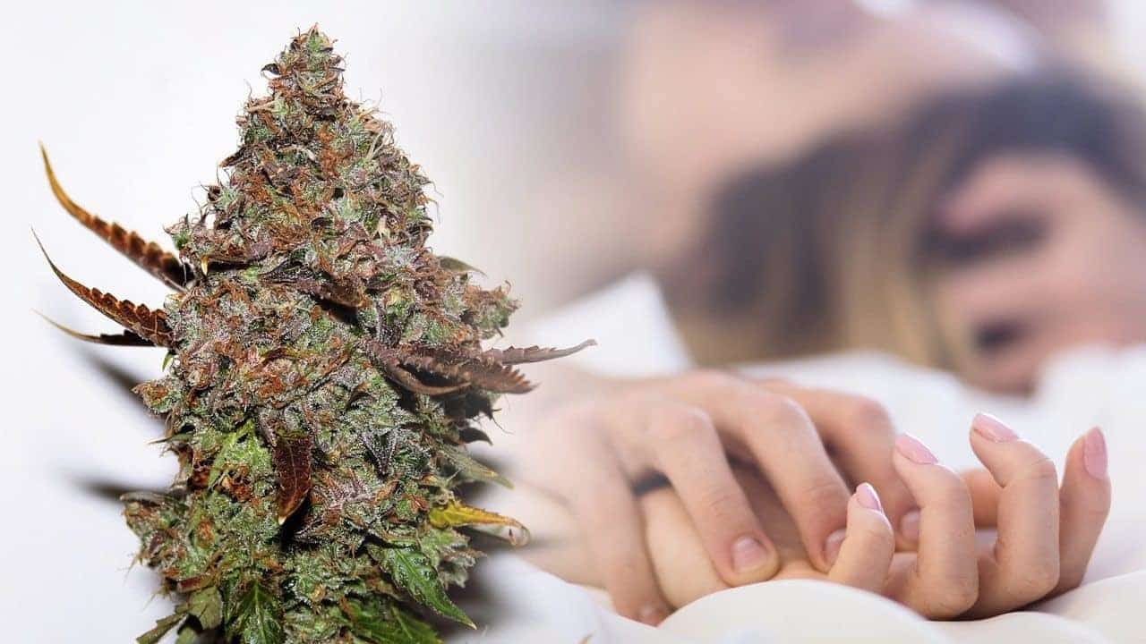 These 12 Weed Strains Are Better Than Viagra