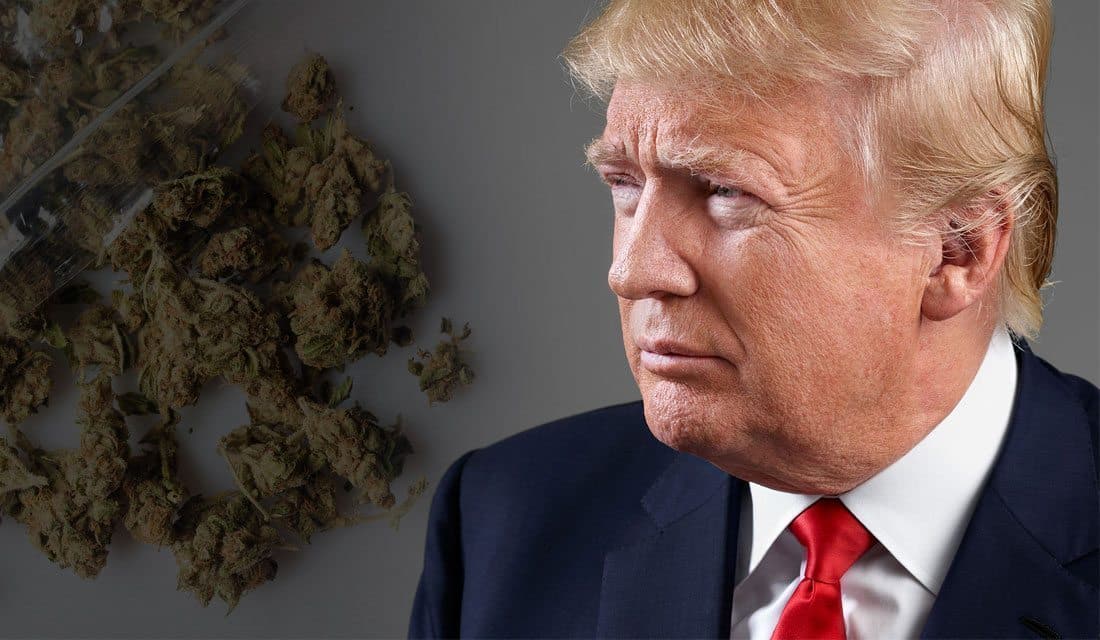 Trump SoHo Played Host To Cannabis Real Estate Summit