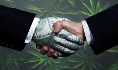 Venture Capitalists Rolling High in Cannabis Industry