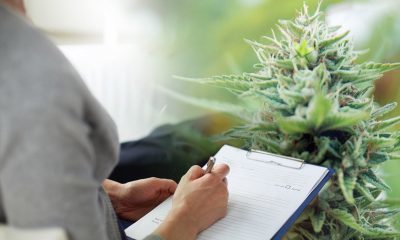 Why Psychiatrists Believe the Age-Limit for Cannabis Should Be 21
