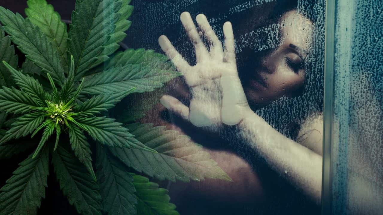 13 Fun Facts About Weed and Sex
