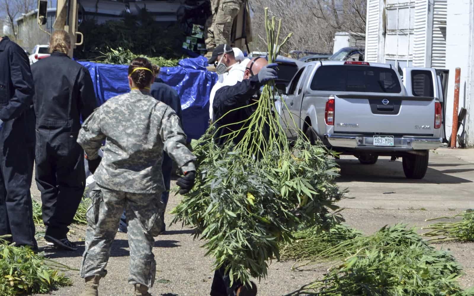 Colorado Cannabis Taxes Funds Busts of Illegal Marijuana Growers