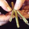 How to Braid a Joint