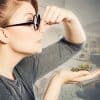 Best Ways to Mask Cannabis Odor in Your House