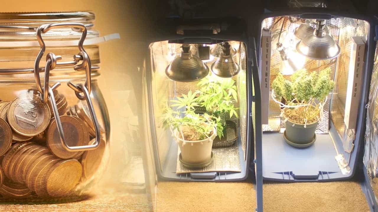How To Build A $100 Grow Box For Weed