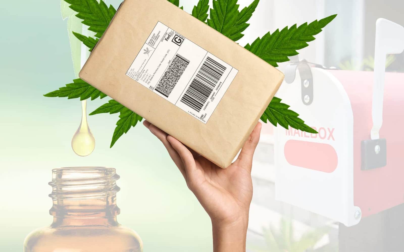 Can You Mail CBD Legally?