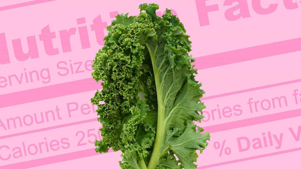 Cannabis vs. Kale: Which is Better For You?