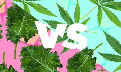 Cannabis vs. Kale: Which is Better For You?