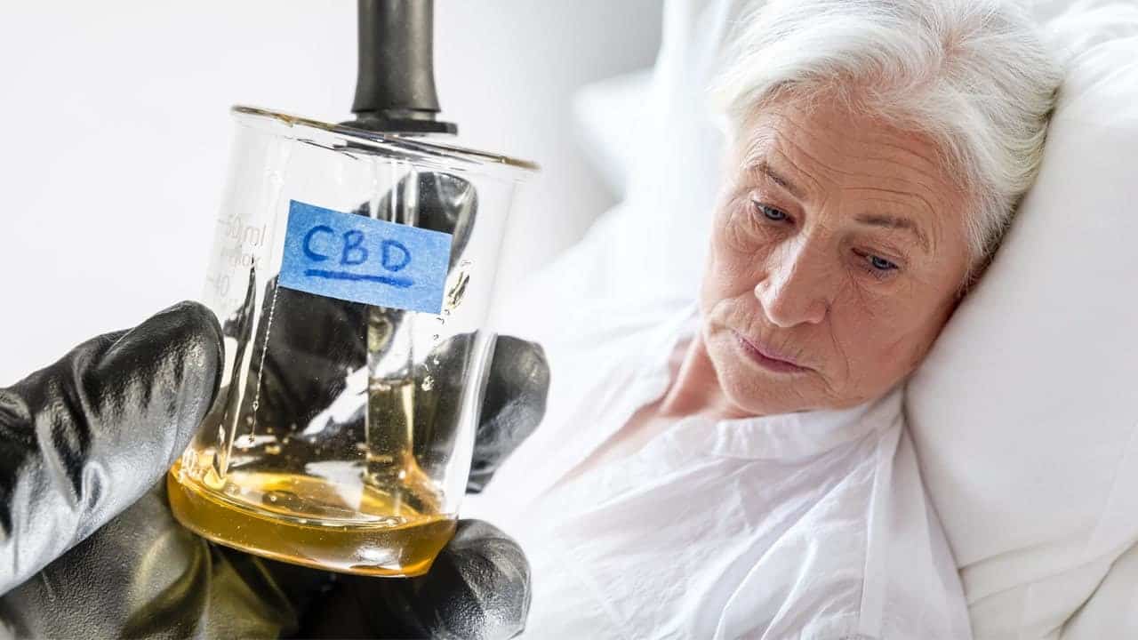 CBD Could Treat These Inflammatory Bowel Diseases