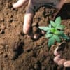 Everything You Need To Start Growing Weed