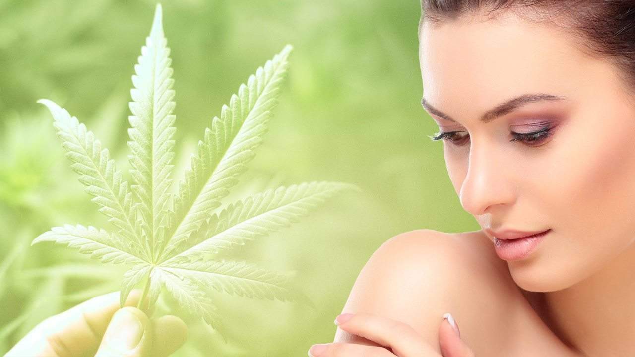The Surprising Health Benefits of Using Cannabis Oil Daily
