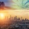 Here's What You Need To Know About LA's New Cannabis Regulations