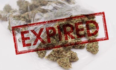How Long Does it Take for Weed to Expire?