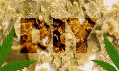 How to Make Medical Grade Bubble Hash