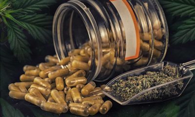 How to Make Your Own Cannabis Capsules