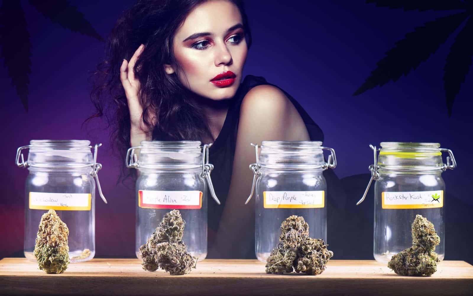 What It's Like to be a Female Weed Dealer