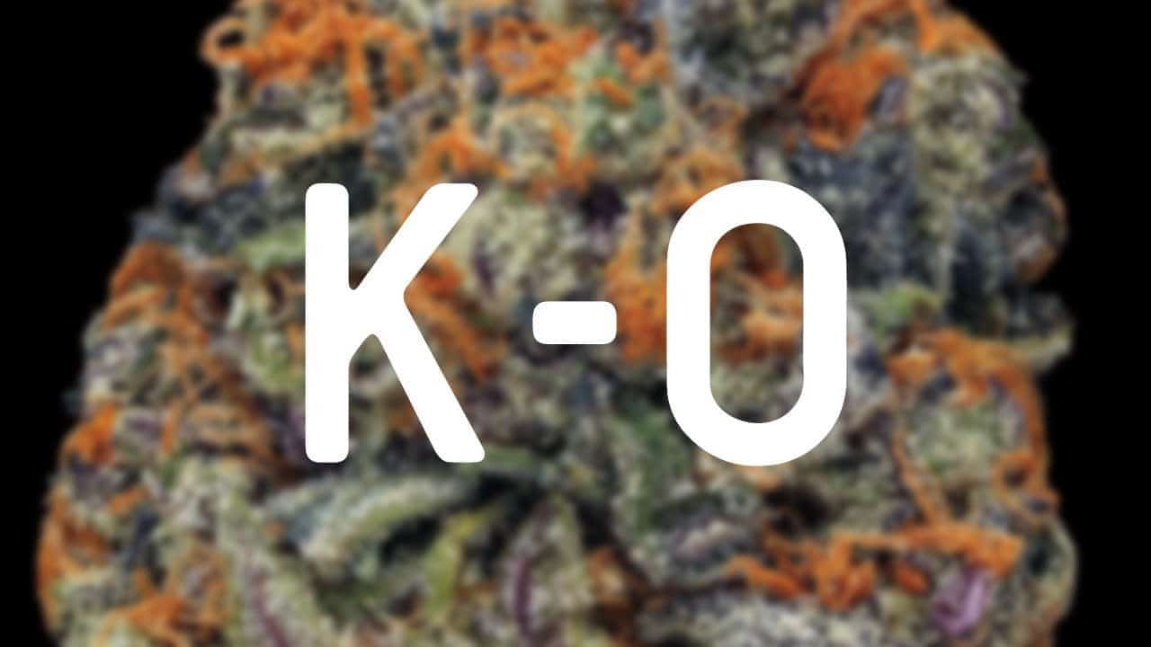 Terminology You Should Know Before Growing Your Own Weed