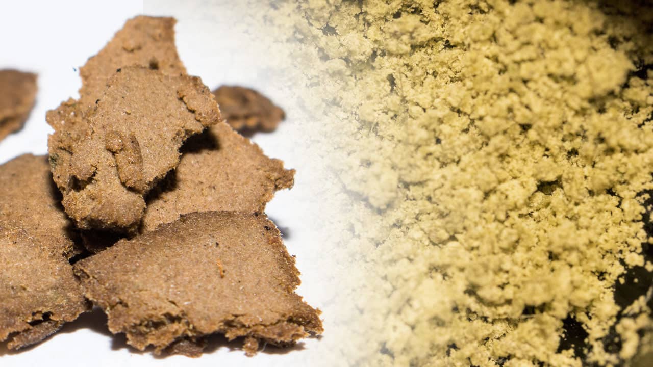 What is Bubble Hash?