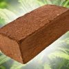 What Is Coco Coir?