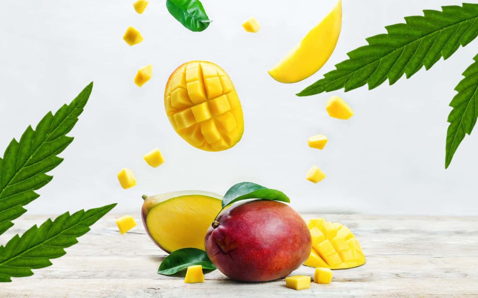 Why Eating Mango Before You Smoke Weed Makes Your High Last Longer