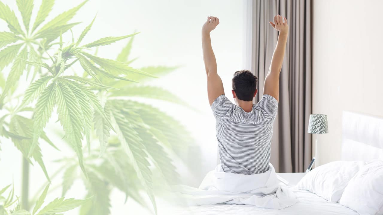 Work On Weed: How To Be Productive While High