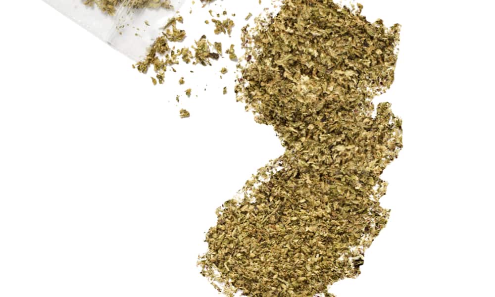 New Jersey gives green light to grow medical marijuana in secaucus