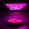 Best LED Grow Lights For Weed