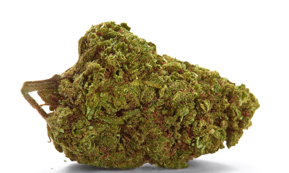 10 Best Weed Strains For Chronic Pain