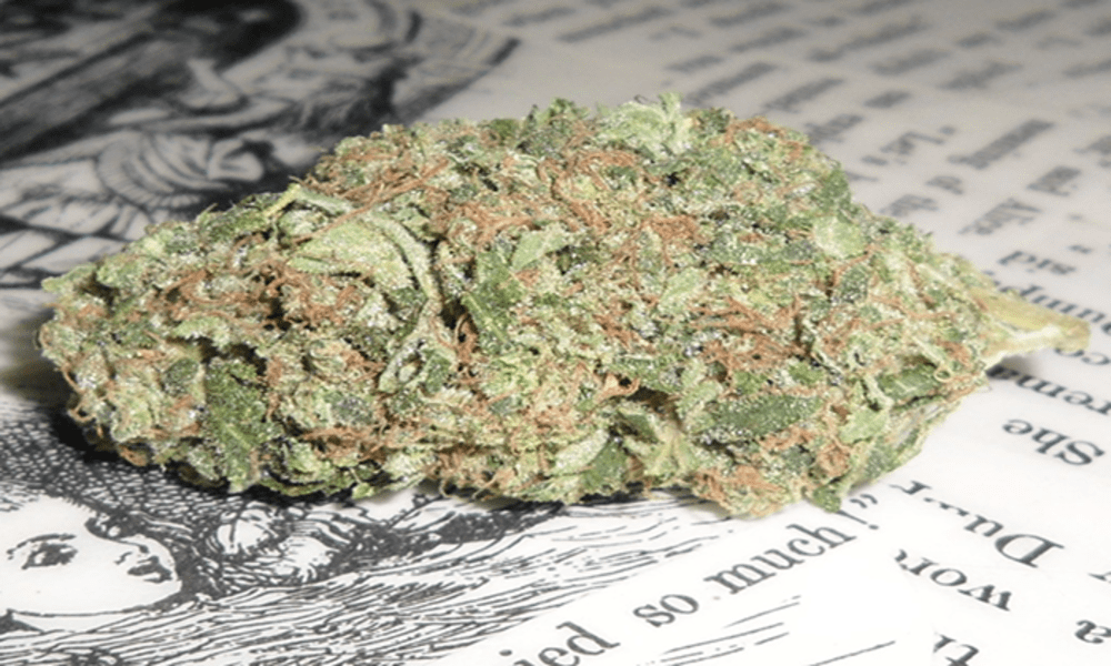 Best Weed Strains for ADHD