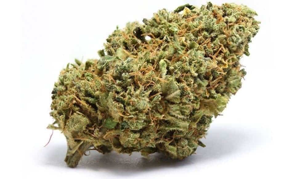 Best Weed Strains For Cancer