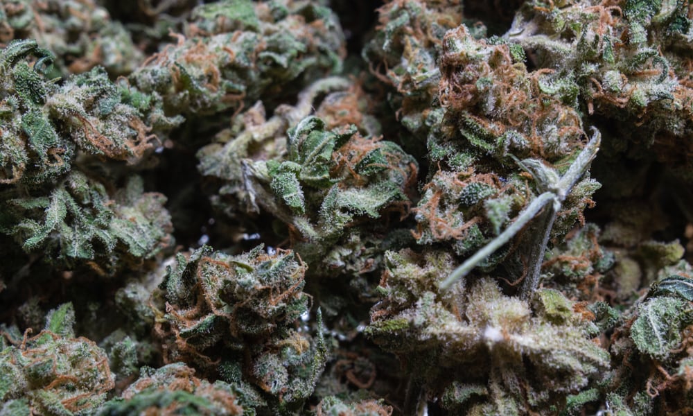 Best Weed Strains For Glaucoma
