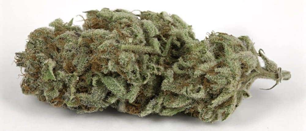 Best Weed Strains For Hangovers