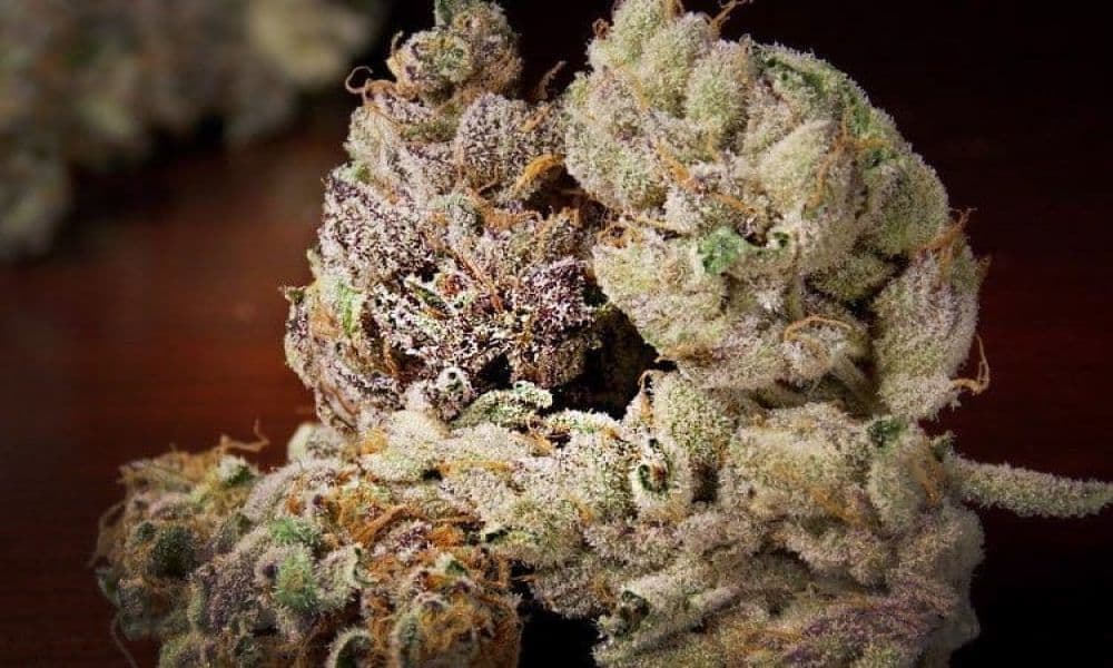 10 Best Weed Strains For HIV/AIDS