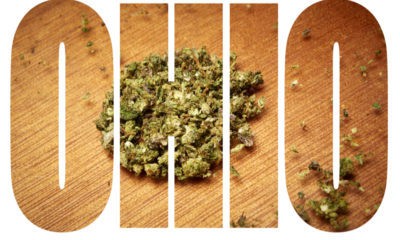 A Closer Look At Ohio's Aspiring Cannabis Growers