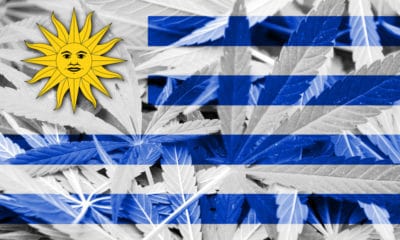 Legal Weed Sales Begin in Uruguay