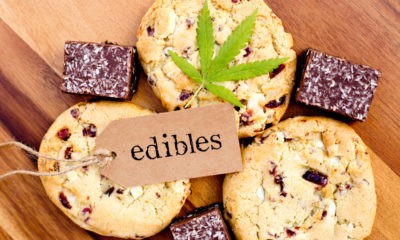 How Long Do You Stay High After Eating Edibles?