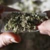 Maine Legislators Mull Over Marijuana Tax Increase