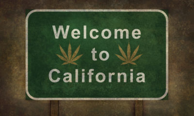 Everything You Need To Know About California’s New Cannabis Business Requirements