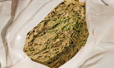 $1M Worth Of Weed Found By West Virginia State Troopers