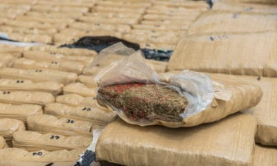 $1M In Weed Seized From House In Atlanta Metro Area