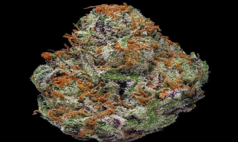 7 Weed Strains To Smoke During The Solar Eclipse