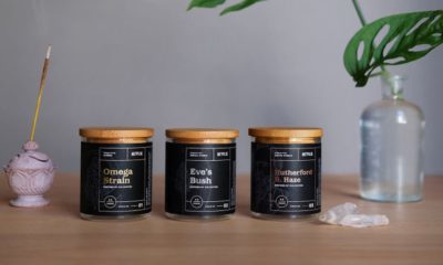 Netflix Created 12 Weed Strains And Sold $150,000 Worth In Three Days