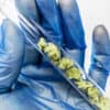 Scientists Demanding Better Weed For Government Research