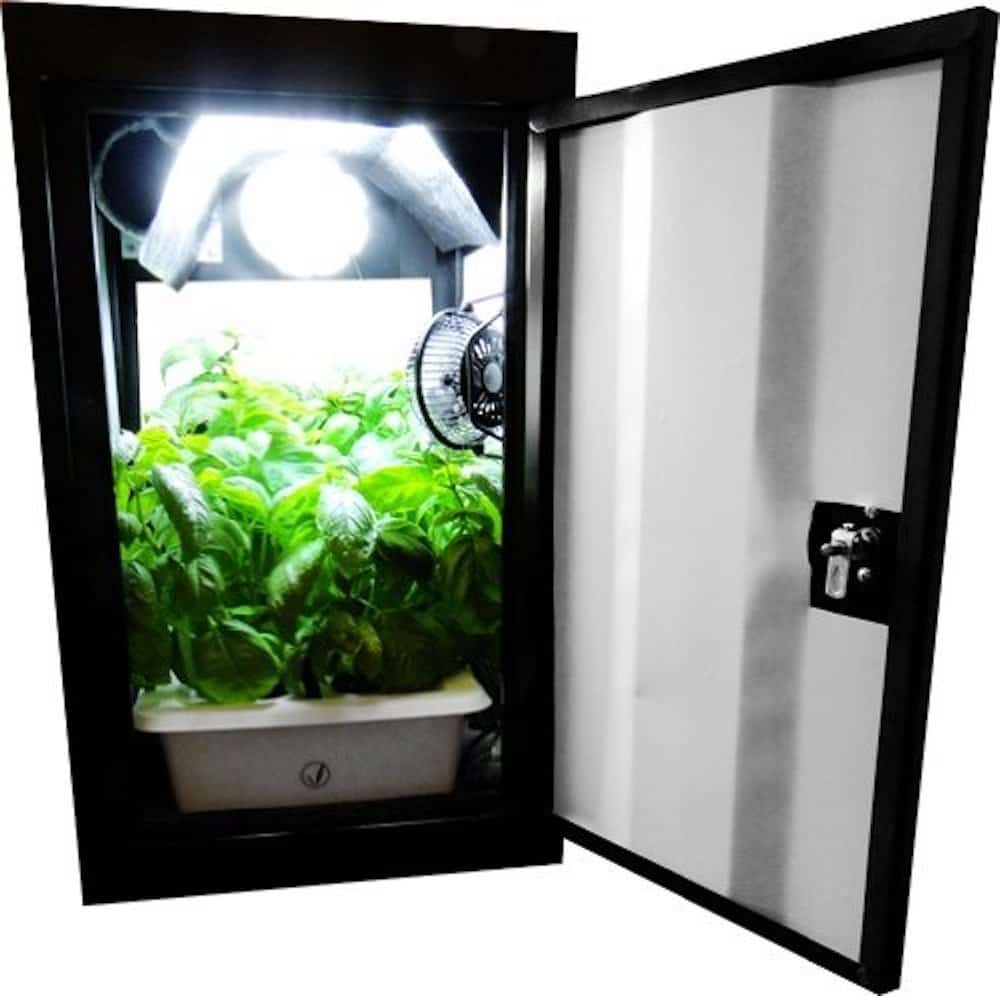 Best Grow Boxes For Growing Weed