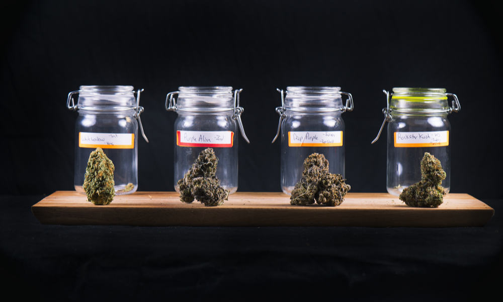 How To Buy Legal Weed In California