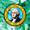 Washington Packaging And Labeling Laws Updated For Weed Businesses